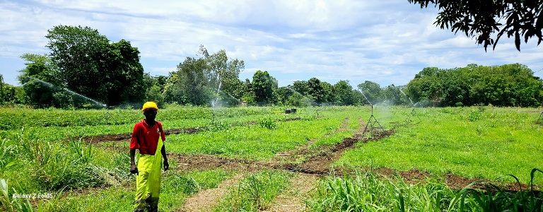 Field irrigation sprinklers